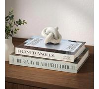 MESMOS Set of 2 Decorative Books, Coffee Table Fake Books, Interior Design Faux Storage Boxes for Bookshelf Decor & Living Room Decoration, Hardcover Shelf Decor, Modern Photography & Lifestyle Series