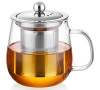 MESNEY 500ml Glass Tea Cup with Stainless Steel Infuser and Lid, Borosilicate Glass Teacup with Lid for Loose Leaf Tea, Infuser Mug for Home and Office
