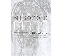 Mesozoic Birds: Above the Heads of Dinosaurs