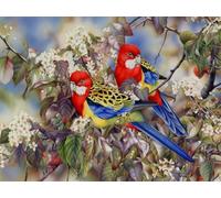 Mesribandy 5D Diamond Art Painting Kit Colourful Parrot DIY Full Drill Diamond Crystal Rhinestone Painting for Kids Adults Beginners Home Wall Decor 50x70 cm