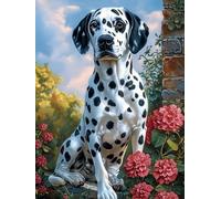 Mesribandy 5D Diamond Painting Kits Dalmatian DIY Full Drill Painting Rhinestone Pictures Arts Crafts for Home Wall Decor 40x50 cm