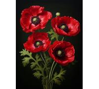Mesribandy Stamped Cross Stitch Kits Poppy Flowers 11CT Hand Embroidery for Adults DIY Crafts for Needle Point Starter Kit Home Decor Gift 50x70 cm