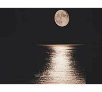 Mesribandy Stamped Cross Stitch Kits Water Shadow Moon 11CT Hand Embroidery for Adults DIY Crafts for Needle Point Starter Kit Home Decor Gift 40x50 cm