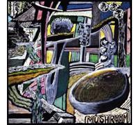 Mushroom - Messages From The Spliff Bunker [VINYL]