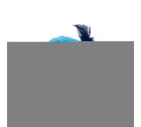 Messages Pour Him - Realistic and Soft Simulation Bird Toy with Flying and Tweeting Wings for Kitten, for Living Room, Bedroom, Office, Garden, Balcony, Indoor, Outdoor, Small and Medium