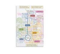 Metabolic Pathways Poster Human Body Biochemistry Map Science Educational Chart Diagram Wall Decor for Classroom Study Laboratory(Framed,16x24inch(40x60cm))