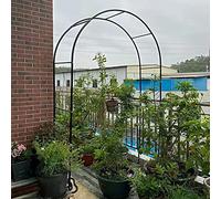 Metal Arch for Climbing Plants & Roses, Decorative Wedding & Anniversary Frame, Green, 1.2m x 2.2m, Perfect for Birthday Parties & Events