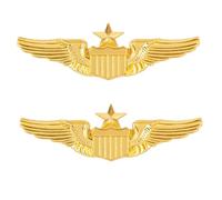 Metal Aviator Wings Pin Senior Pilot Wing Badge Gold For Professional Uniform, Cosplay Uniform