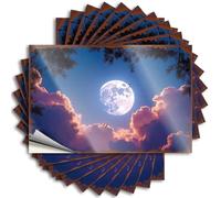 Metal Bar Signs Full Moon Rising: A Serene Night Sky With Clouds And Pine Branche Stickers 10Pcs Sarcastic Signs Funny Signs For Home Bar(6X9CM)
