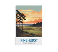 Metal Bar Signs Vintage Pinehurst North Carolina Lake Personalized Vintage Style Retro Tin Sign Custom Sign for Wall Outdoor, Indoor, Street, Office 15x30cm