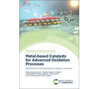 Metal-based Catalysts for Advanced Oxidation Processes : Applications in the Degradation of Organic Pollutants
