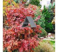 Metal Bird Feeder with Secure Ground Spike, Great Choice for Nature Lovers and Gardeners Alike