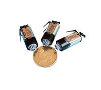 Metal Brush 10MM Planetary Gear electronic starter DC2.5V-5V M10 Precision Geared electronic starter With Rare Earth Strong Magnet for Medical Equipment RUAJOGYNVM