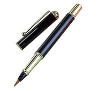 Metal Chinese Brush Fountain Pen Design Beginner Calligraphy Brush Piston-Filled Fit for Kid Adult Calligraphy Painting Fountain Pen Set with Nibs Cartridge Refillable for Men Women Writing