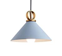 Metal Color Hanging Light Minimalist Chandelier Restaurant Romantic Pendant Lights Bedside Elegant Ceiling Lighting Fixture for Coffee Shop Restaurants Hotel Study Room