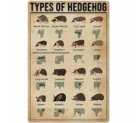 Metal Decorations for Outside Hedgehog Tin Sign Knowledge Metal Sign Vintage Home Decor Rustic Aluminum Tin Signs Wall Art Metal Poster for Garage Bar 8x12 inch