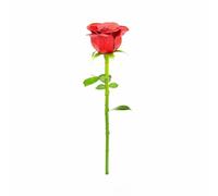 Metal Earth Red Rose Color Metal Model Kit Fascinations