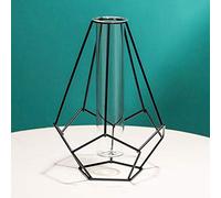 Metal Frame Vase Geometric Glass Flower Vase, Lantern Shape Glass Test Tube Vase, Modern Creative Clear Tube Glass Planter Terrariums with Geometric Metal Stand for Decor Office Home (Black B)