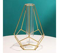 Metal Frame Vase Geometric Glass Flower Vase, Lantern Shape Glass Test Tube Vase, Modern Creative Clear Tube Glass Planter Terrariums with Geometric Metal Stand for Decor Office Home (Golden B)
