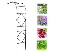 Metal Garden Arbor - Sturdy Archway for Roses & Vines, 240cm High x 200cm Wide, Weatherproof Trellis for Outdoor Decor, Strong & Stable Structure