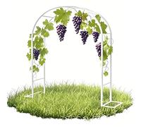 Metal Garden Arch, Climbing Plant Trellis, Sturdy Arbor for Vines, 80cm x 200cm - 300cm x 220cm, White/Black/Green Wedding Pgola, Decorative Outdoor Structure