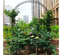 Metal Garden Arch for Climbing Plants 120x220cm Weather Resistant Iron Trellis Sturdy Rose Arbor Available in 100cm 140cm 180cm Black Finish
