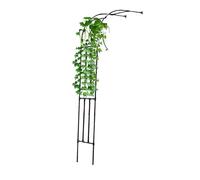 Metal Garden Arch for Climbing Plants - Halber Rosenbogen Trellis, Wall-Mounted Rose Support, Pergola with 90/180/200/300cm Width, Black (H240 x B300 x T40 cm)