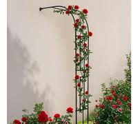 Metal Garden Arch for Climbing Plants - Weather-Resistant Half-Arch Rose Trellis with Wall Mount, Durable Arbor for Garden Gate Support Frame (260x240cm)