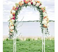 Metal Garden Arch for Outdoor Use Sturdy Rose Trellis Pergola Backyard Plant Support Various Sizes (80x200cm 160x220cm 240x220cm 300x220cm) White 280x220cm