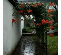 Metal Garden Arch Half Moon Trellis for Climbing Plants Weatherproof Wall Arch 60 300cm Adjuble Rose Arch Support for Vines & Flowers (W270xH240cm)