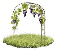 Metal Garden Arch, Plant Support Trellis for Climbing Plants, Durable Archway for Weddings, Outdoor Pgola in Various Sizes & Colors (White/Black/Green/Bronze)