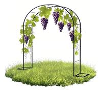 Metal Garden Arch Trellis for Climbing Plants Sturdy Metal Arbor Outdoor Wedding Arch Various Sizes (80x200cm 160x220cm 20x230cm 240x220cm 300x220cm) - Available in Black White Green