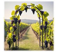 Metal Garden Arch Trellis for Climbing Plants Wedding Arch Arbor 4.6ft to 7.9ft Outdoor Indoor Pergola Black Steel Archway for Ceremony & Party Decoration (W9.2 x H8.2ft)