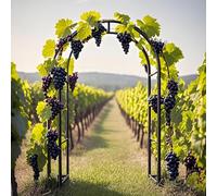 Metal Garden Arch Trellis for Climbing Plants, Wisteria Support, Durable Steel Structure, 140x280cm, Elegant Wedding Decor, Black, 3.0 x 2.20m