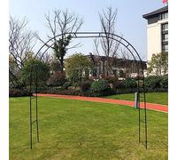 Metal Garden Arch Wrought Iron Pera for Climbing Plants Balloon Arch Patio Decoration Black 300 x 220 x 40 cm Outdoor Garden Trellis Lawn Decor