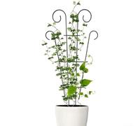 Metal Garden Trellis Fan Design Plant Support Frame for Climbing Plants Indoor Outdoor Wall Mounted Growing Support for Potted Vegetables Ivy Roses Jasmine Beans Peas Grape Vines(s black)