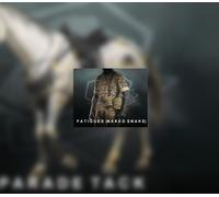 Metal Gear Solid V: The Phantom Pain - Fatigues (Naked Snake) DLC Steam CD Key