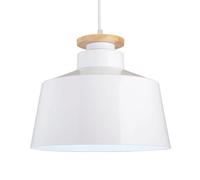 Metal Hanging Pendant Light, Simple Style Single-Head Ceiling Lamp with E27 Screw Base for Conference Room, Bar, and Home Decoration