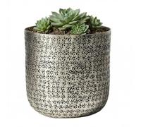 Metal Indoor Plant Pot Cachepot Planter Contemporary Stamped Finish Galvanised Planter Houseplant Pot for Herbs, Succulents, Cacti and Flowers Modern Mantelpiece Windowsill Shelf Decor (Medium)
