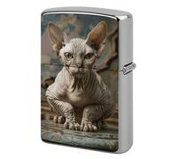 Metal Lighter Case Cover Reusable Flip Top Lighter Sleeve Double Sided Windproof & Waterproof Cigarette Holder Portable Pocket an Ugly Cat Lighters Pouch for Dad Boyfriend Husband
