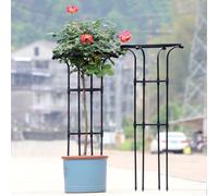 Metal Obelisk Trellis for Climbing Plants Supporting Seasonal and Perennial Vines in Various Growing Environments (95CM)
