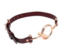 Metal Open Mouth Gag BDSM Oral O Ring Gag Bondage Restraints for Female Flirting Tongue Depressor (Golden)