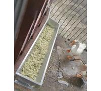 Metal Pig Feeder Waterproof for Outside Farm, Large Livestock Hay Feeder for Guardian Dog Alpacas, Cattle Sheds Feed Pan Bowl for Livestock(With stand,19.6in(1.6ft))
