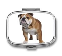 Metal Pill Box with Mirror - 2 Compartment Travel Pill Case for Purse Portable Pillbox Compact Vitamin Container English-Bulldog Medicine Organizer for Fish Oil & Supplement