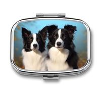 Metal Pill Box with Mirror - 2 Compartment Travel Pill Case for Purse Portable Pillbox Compact Vitamin Container Border Collie Medicine Organizer for Fish Oil & Supplement