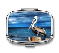 Metal Pill Box with Mirror - 2 Compartment Travel Pill Case for Purse Portable Pillbox Compact Vitamin Container Flag Pelican Bird Sea Sky Medicine Organizer for Fish Oil & Supplement