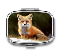 Metal Pill Box with Mirror - 2 Compartment Travel Pill Case for Purse Portable Pillbox Compact Vitamin Container Funny Fox Medicine Organizer for Fish Oil & Supplement