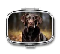Metal Pill Box with Mirror - 2 Compartment Travel Pill Case for Purse Portable Pillbox Compact Vitamin Container Labrador Retriever Medicine Organizer for Fish Oil & Supplement