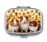 Metal Pill Box with Mirror - 2 Compartment Travel Pill Case for Purse Portable Pillbox Compact Vitamin Container Guinea Pigs Medicine Organizer for Fish Oil & Supplement