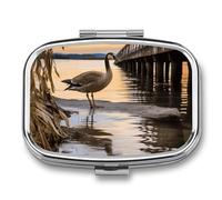 Metal Pill Box with Mirror - 2 Compartment Travel Pill Case for Purse Portable Pillbox Compact Vitamin Container Wild Goose by The Bridge Medicine Organizer for Fish Oil & Supplement